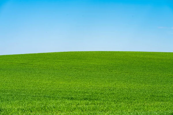 背景には夢のような雲と青空が広がる緑の丘 — ストック写真