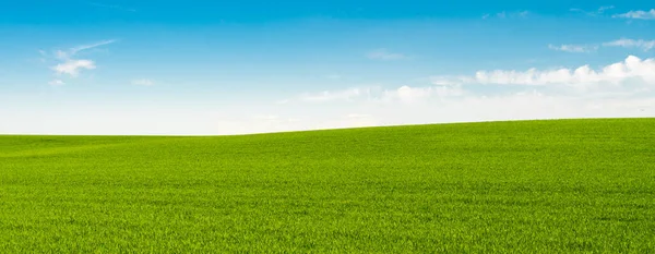 Prados Verdes Com Céu Azul Nuvens Fundo — Fotografia de Stock