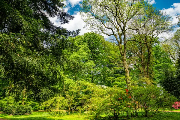 Όμορφος Κήπος Ανθισμένα Δέντρα Την Άνοιξη — Φωτογραφία Αρχείου