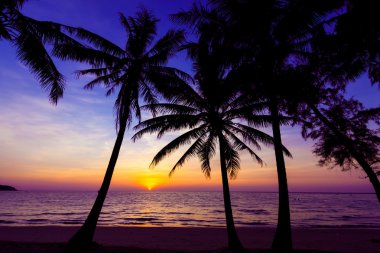 Sunset Beach. tropik sahil üzerinden günbatımı