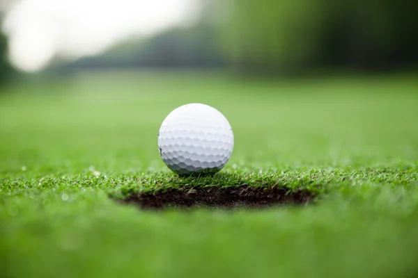 М'яч для гольфу на зеленому лузі — стокове фото