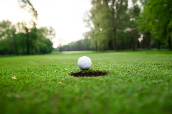 Golf ball on green meadow.  golf ball on lip of cup — Stock Photo, Image