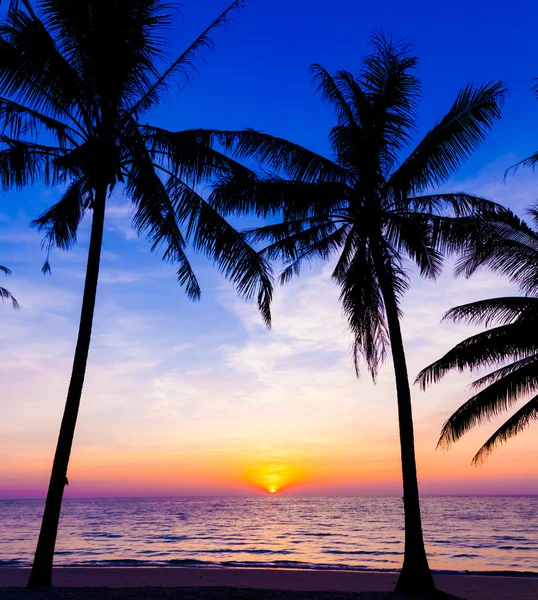 Zachód słońca na plaży. zachód słońca nad tropikalnej plaży — Zdjęcie stockowe