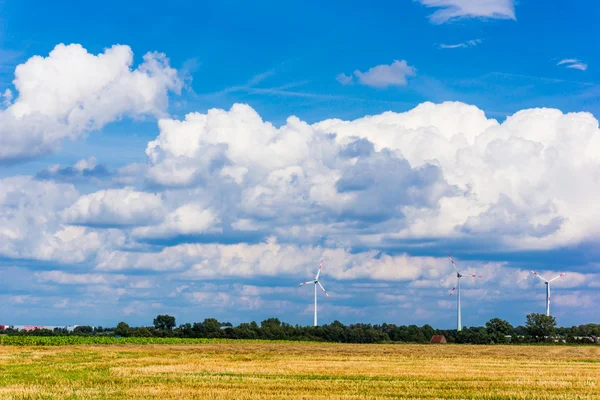 风力涡轮机。草甸与风力涡轮机 — 图库照片