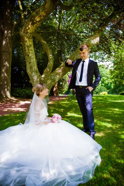 Retrato de casal de casamento — Fotografia de Stock