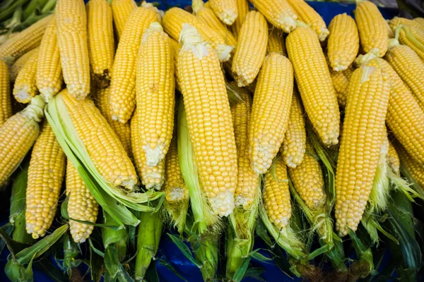 Market stall with corncobs.  Fresh sweet corn — Stock Photo, Image