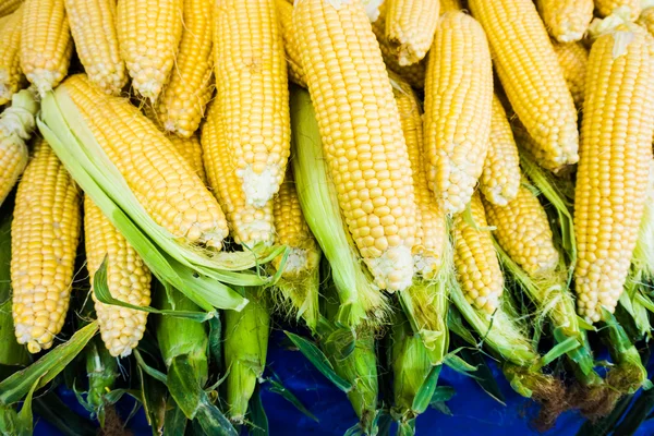 Korrels van rijpe corn.raw maïs, verse maïs. — Stockfoto