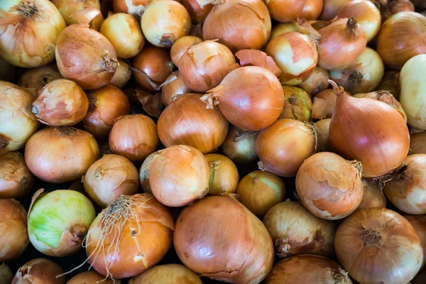 Čerstvá cibule. zralé cibule jako pozadí. — Stock fotografie