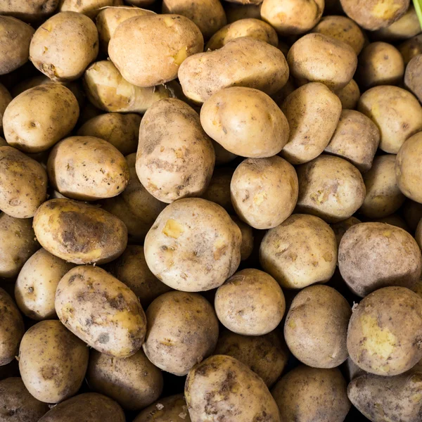Batatas em um mercado. Batatas jovens biológicas frescas — Fotografia de Stock