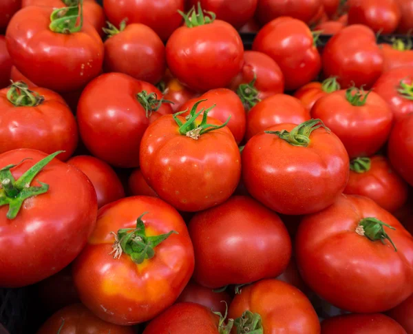 Röda tomater bakgrund. Tomatgrupp — Stockfoto