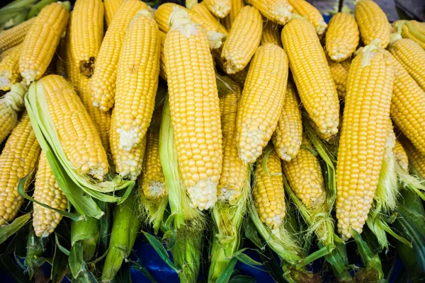 Marktkraam met maïskolven. verse suikermaïs — Stockfoto