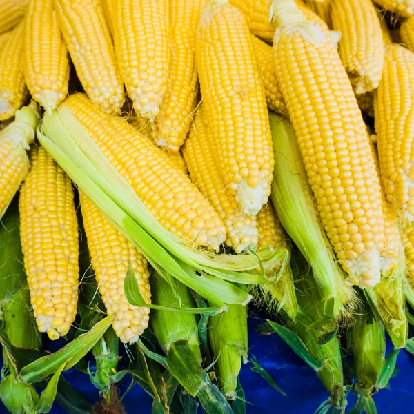 Marktkraam met maïskolven. verse suikermaïs — Stockfoto