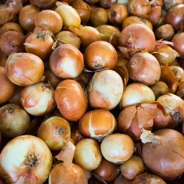 Fresh onion. Ripe onions as background. — Stock Photo, Image