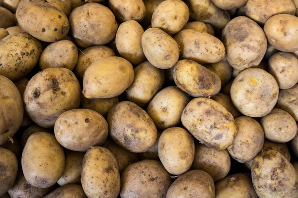 Batatas em um mercado. Batatas jovens biológicas frescas — Fotografia de Stock