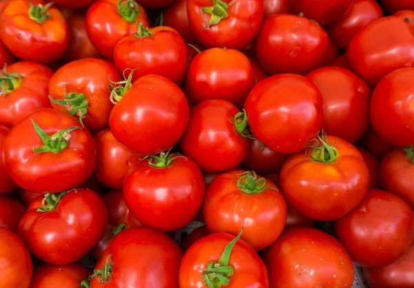 Tomate vermelho fundo. Grupo de tomates — Fotografia de Stock