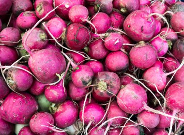 piyasada birçok taze turp. Çiftçi pazarı taze turp 