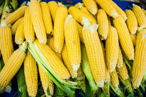 Korrels van rijpe corn.raw maïs, verse maïs. — Stockfoto