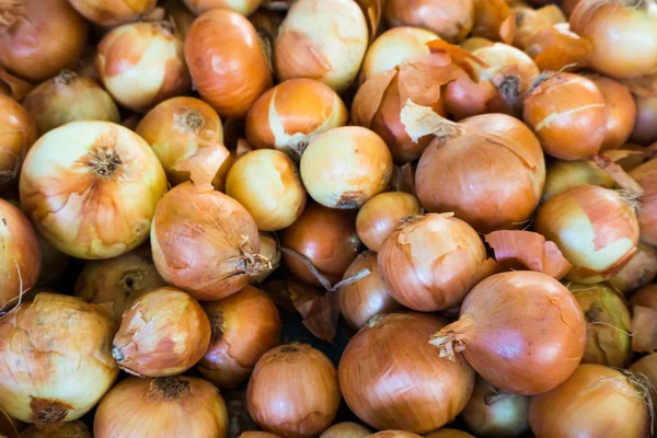 Frische Zwiebeln. reife Zwiebeln als Hintergrund. — Stockfoto