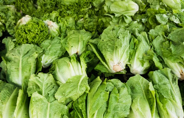 Зелені овочі на ринку. Зелена капуста і салат — стокове фото