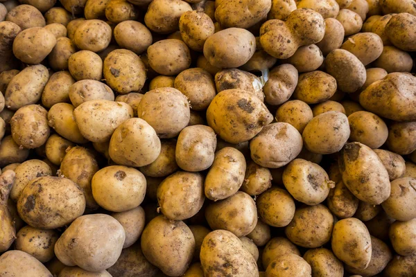 Batatas em um mercado. Batatas jovens biológicas frescas — Fotografia de Stock