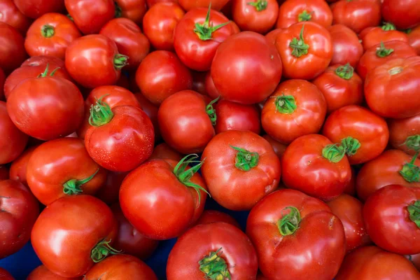 Fondo de tomates rojos. Grupo de tomates —  Fotos de Stock