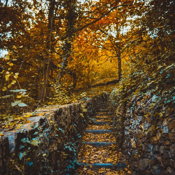Sentier d'escalade avec marches en pierre — Photo