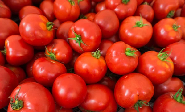 Red tomatoes background — Stock Photo, Image