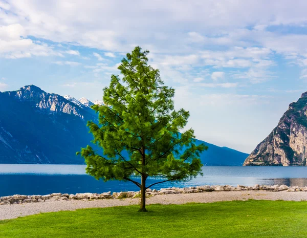 Jezero garda. Itálie — Stock fotografie