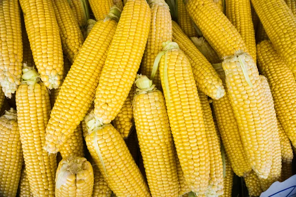Puesto con mazorcas de maíz . —  Fotos de Stock