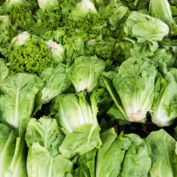 Зелені овочі на ринку . — стокове фото