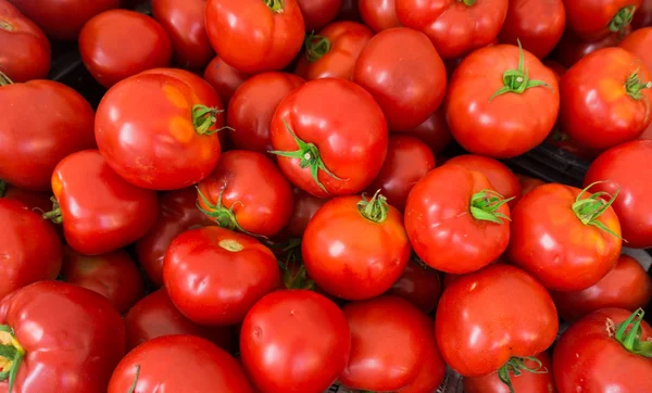 Tomatoes at the market. — Stock Photo, Image