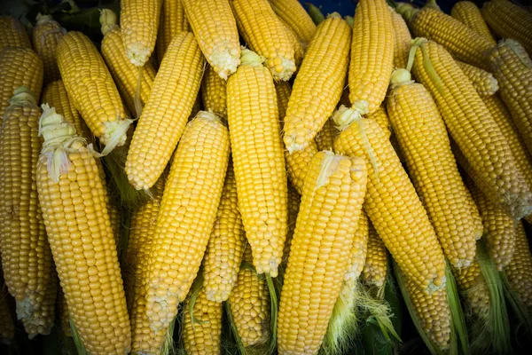 Rijp maïs in markt — Stockfoto