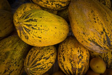 kavun pazarı içinde.