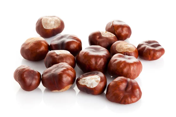 Chestnut on white background — Stock Photo, Image