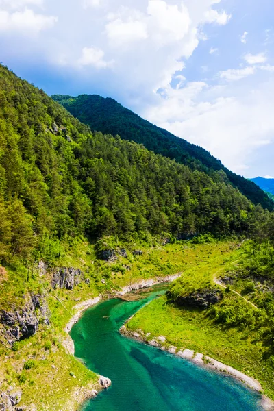 Mountain lake in forest — Stock Photo, Image