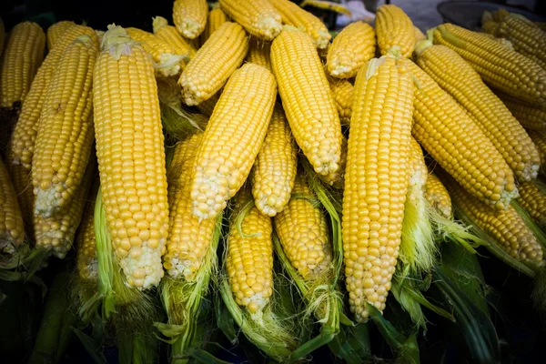 Marktkraam met maïskolven. — Stockfoto