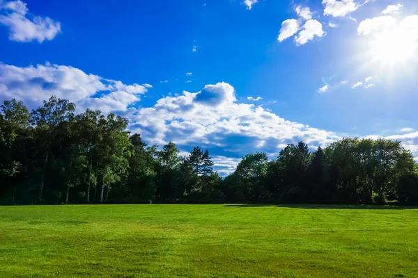 Fältet i sommardag — Stockfoto