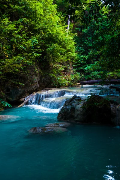 Cascada del bosque profundo . — Foto de Stock