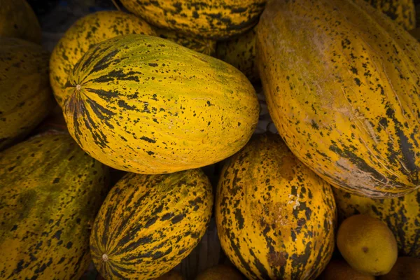 Melones en el mercado . —  Fotos de Stock