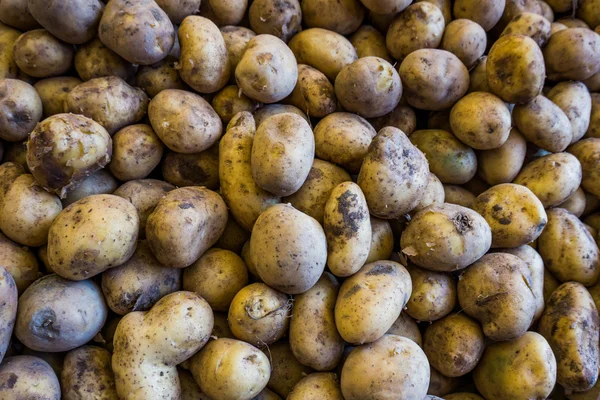 Batatas no mercado — Fotografia de Stock