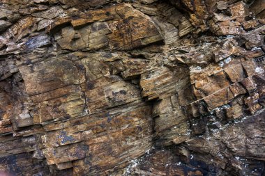 Kaya arka plan, yakın çekim.