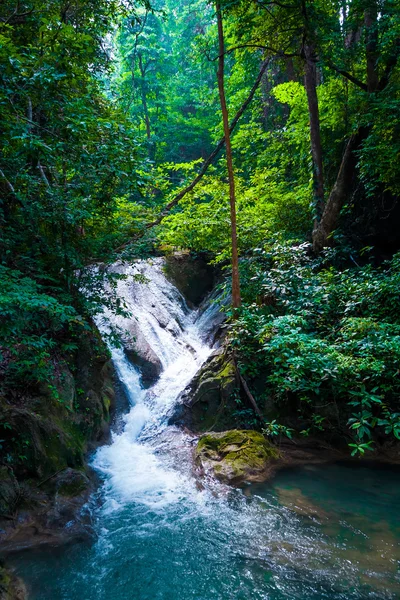 Deep forest Waterfall. — Stock Photo, Image