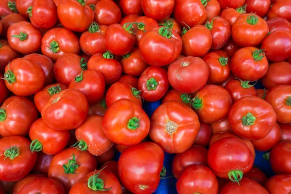 Tomates vermelhos no mercado — Fotografia de Stock