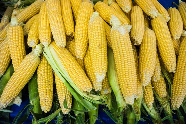 Puesto de mercado con mazorcas de maíz . —  Fotos de Stock