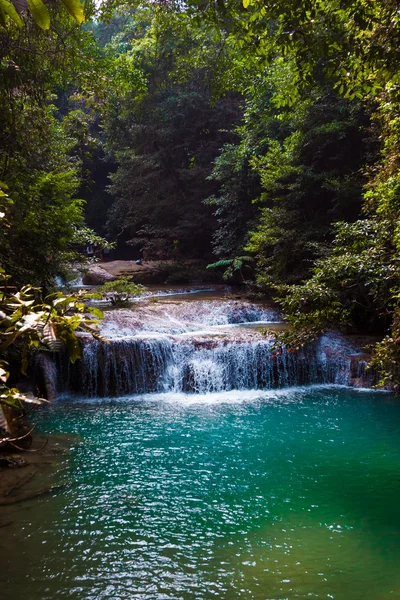 Tiefer Waldwasserfall. — Stockfoto