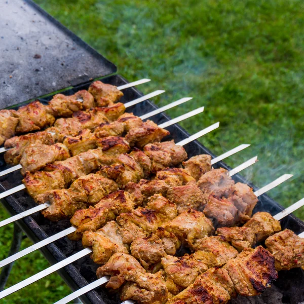 Grilované maso na grilování Kavkaz — Stock fotografie