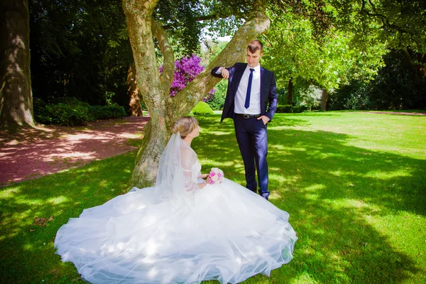 Bruid en bruidegom poseren in een park — Stockfoto