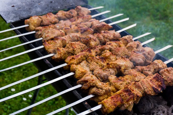 Barbecue carne shashlik — Foto Stock