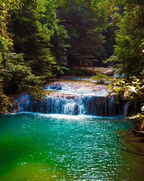 Tiefer Waldwasserfall. — Stockfoto