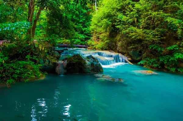 Cascada del bosque profundo . —  Fotos de Stock